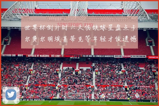 世界杯倒计时六天伤缺球星盘点卡尔费尔明埃基蒂克等年轻才俊遗憾缺席